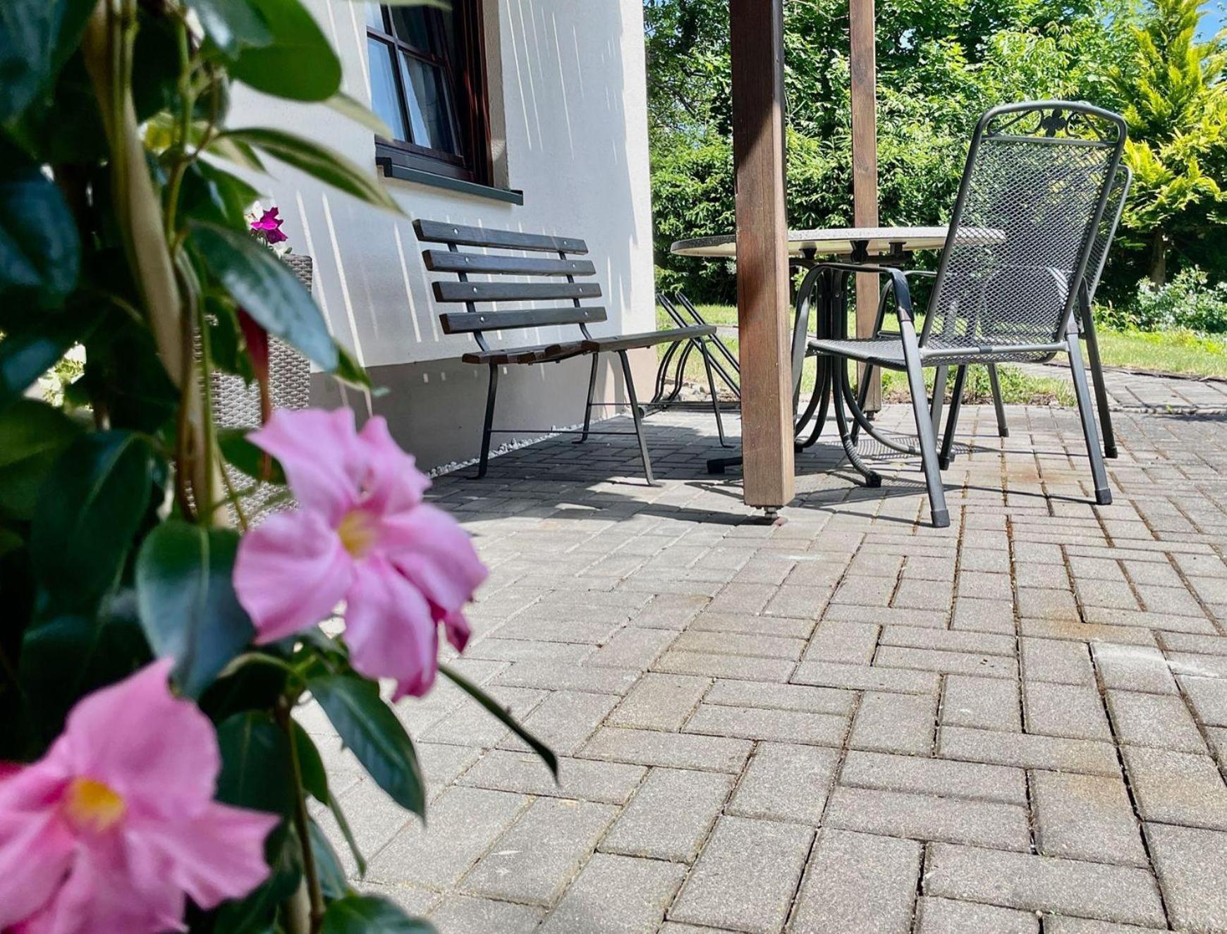 Ferienwohnung-Am-Suedhang Muglitztal Eksteriør billede
