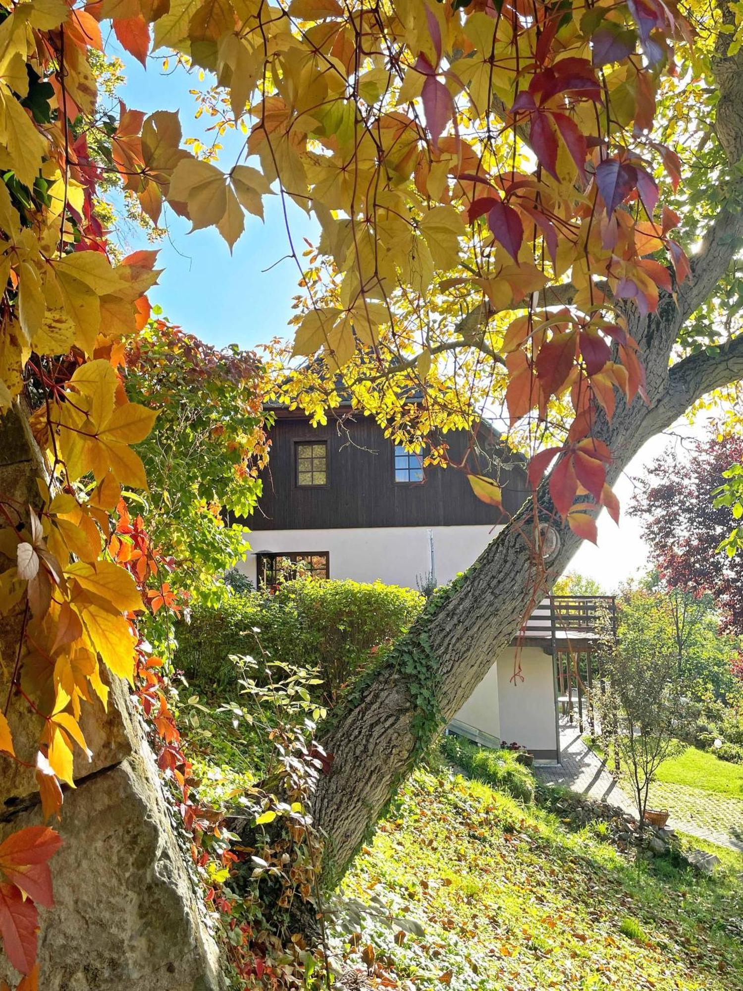 Ferienwohnung-Am-Suedhang Muglitztal Eksteriør billede